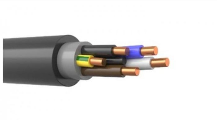 Кабель ВВГп-нг-LS 5х10